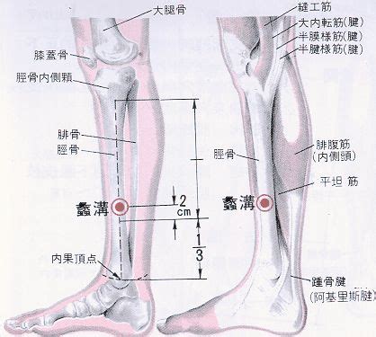 通天穴|医砭 » 经穴库 » 通天